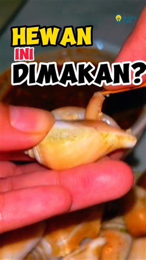 ARE SEA SNAILS EATING?! | Typical Food of the Riau Islands 🇮🇩