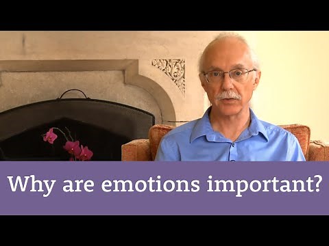 Why are emotions important?
