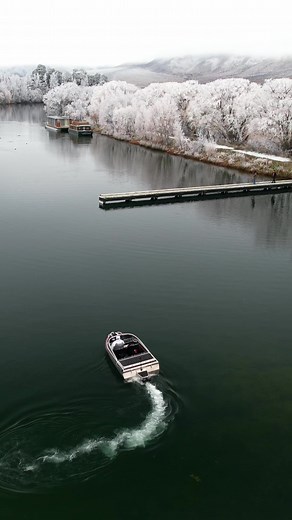 The Angler’s Logbook on TikTok