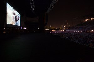 Grumpy Cat Is Officially the Internet’s Favorite Feline Meme