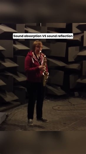 Anechoic vs Reverberation Room | Sound Physics Explained #shorts