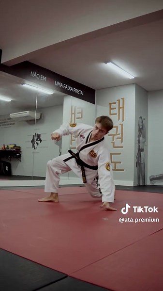 Cobra Kai: Taekwondo and Karate Mastery