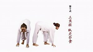 正版易筋经教学
