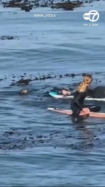 Otter hijacks surfboard in standoff with young Santa Cruz surfers