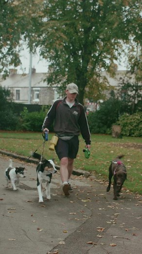 650K views · 7.8K reactions | Dogs taking me for a walk #alfieoddjob #oddjobboy | Alfie Odd Job | Facebook