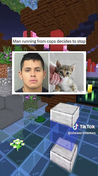 Hilarious Funny Memes Compilation for Laughs