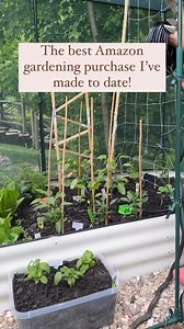 10K views · 57 reactions |  This super simple, DIY-friendly garden irrigation has helped my garden thrive, even when I’m not home to water it! I paired mine with an inexpensive hose timer to make it a true “set it and forget it” system! Comment LINK below and I’ll send you the information for the irrigation and timer! You can also find both at the link in my bio. #gardenhacks #diygarden #gardenirrigation #lovemygarden | Lake and Lumber | Facebook