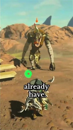 Weapons and Shields MUST work together (or else!) #zelda #botw #tearsofthekingdom