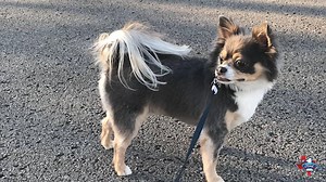 We pour our hearts into creating music, but there's a lot more to us. See what we like to do on our downtime and we would LOVE to hear from y'all about your hobbies! #FordMusic fordmusic.com/runaway-june-2020-escape-texas/ | Runaway June