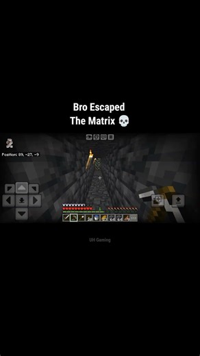 Bro Escaped 💀 #shorts #minecraft