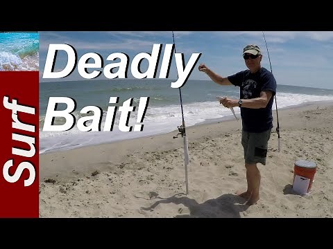 How To Rig A Sand Flea - Traditional