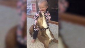 18M views · 129K shares | Babies and pets will make your day! | America's Funniest Home Videos | Facebook
