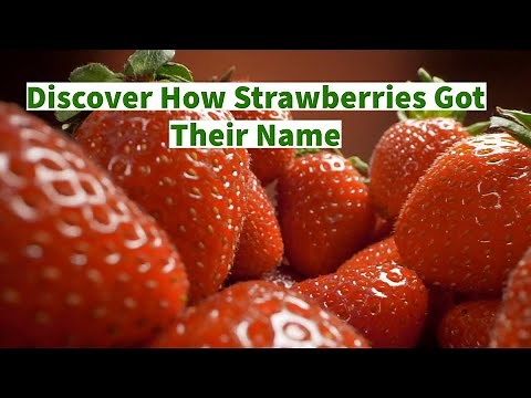 Discover How Strawberries Got Their Name: Origin and History