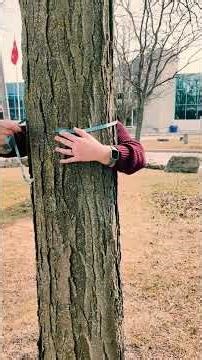 Urban Forestry | Pi Day