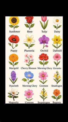 Flowers Name Chart | 20 Flowers for Learning | Educational Video