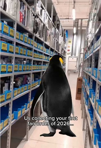 Discover the Unique Penguin Collectibles at Argos