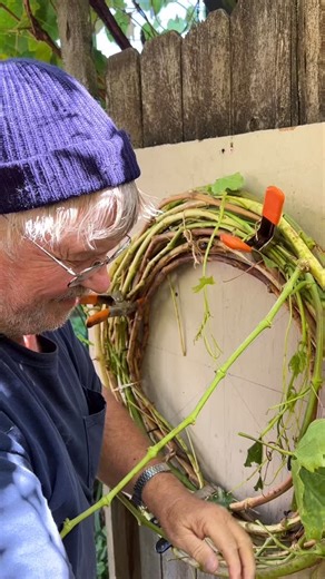 85 reactions · 10 comments | These handcrafted grapevine wreaths are made by my dad — using vines that trace all the way back to my great-grandma’s original plant. The same plants and grapes we sell at the stand, rooted in generations of family and love. They’re beautiful for every season, wrap them in Christmas lights, add flowers, or leave them natural for a rustic touch.癩癩 | Tillie’s Acres Farm Stand | Facebook