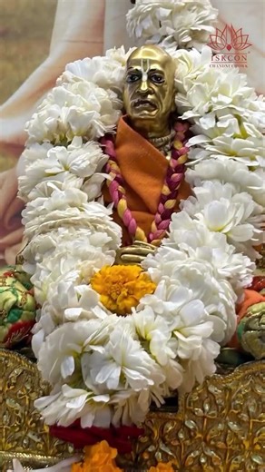 Start Your Day With Blessings | Radha Shyamsundar Darshan | ISKCON Chandni Chowk #harekrishna #daily