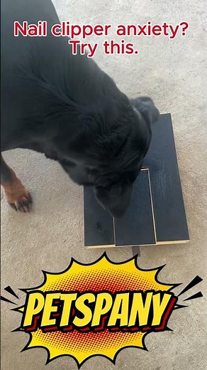 Easy DIY Dog Scratch Board (Save Money on Grooming!)