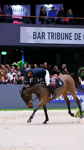 A qualidade da marca d'água-----😎❤️ #horses#caballos#cavalos#pferde#horseedition#horseeditor#horsesedits#horsefalls#horsefall#equestriansport#horsemanship#horsesjumping#trending#foryou#viral#fyp#annehorses8