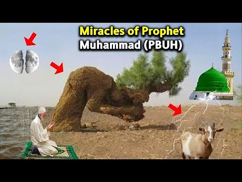 Miracles of Prophet Muhammad ﷺ That Will Strengthen Your Faith