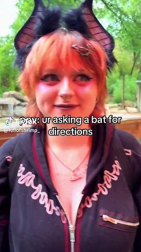 i lub the zoo #bats #goth #alt #zoo @vanilla.and.petrichor | bats