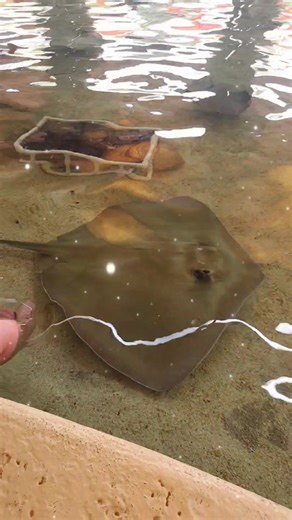 #zoo #stl #fun #happy #smile