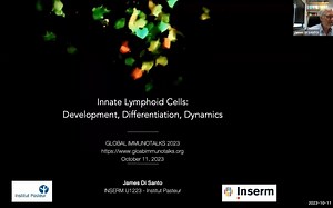 Innate lymphoid cell development differentiation and dynamics