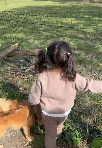 Une journée parfaite avec ma princesse et mon petit Milo ☺️ 📍Ferme nos pilifs 🐄🍃 #bruxelles #ferme #activite