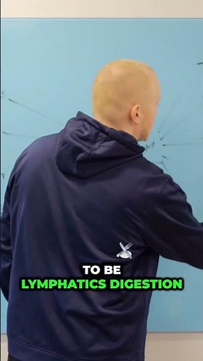 Unclogging the Lymphatic System: How Inflammation, Digestion, and Immune Health are Connected