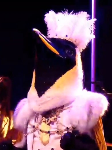 Emperor Penguin Performs 'Pinball Wizard' on The Masked Singer