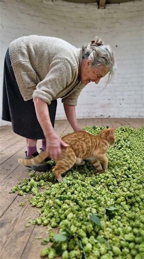 She was levelling the hops at the far end. Behind her the middle was already taken.
