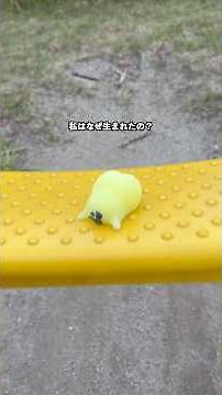The answer to the meaning of life has been found in Pretty Butt Yellow #SmashPunishmentSquad #Squ...