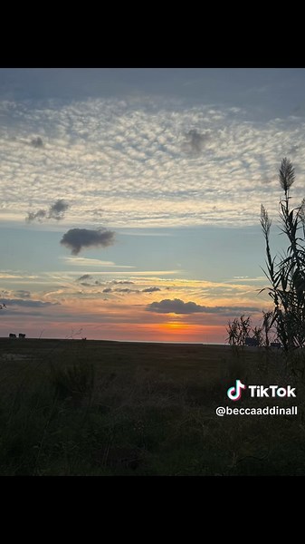 Training for 10 Days of 5K Running in October