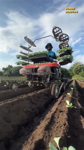 Planting Vegetables with Modern Planting Machines