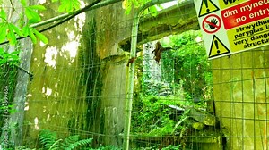 Exploring fenced abandoned eerie mining ruins in dense overgrown woodland