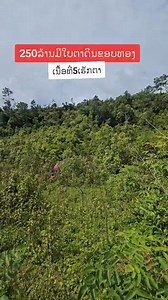 10K views · 176 reactions | Av nyob xeev khuam nawb  020 78 964 629 | Luj Kab Universe | Facebook