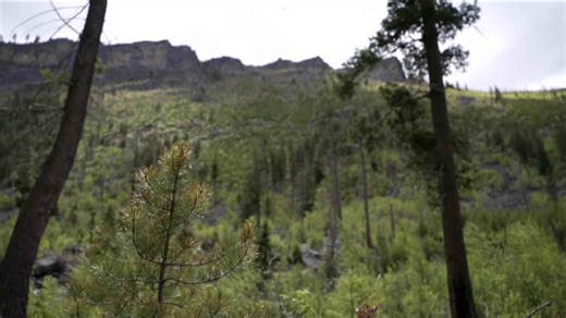Mining company to revise, reduce draft plan in Sheep Creek Project exploration proposal
