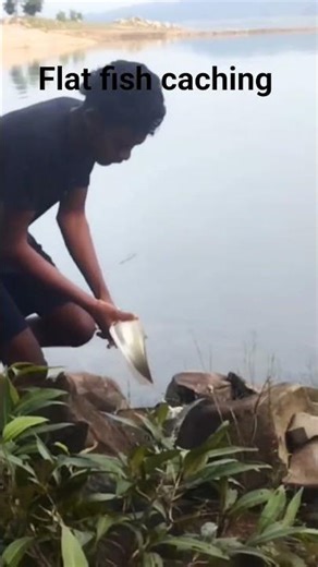 flat fish caching hook fishing #shorts #fishing #fish