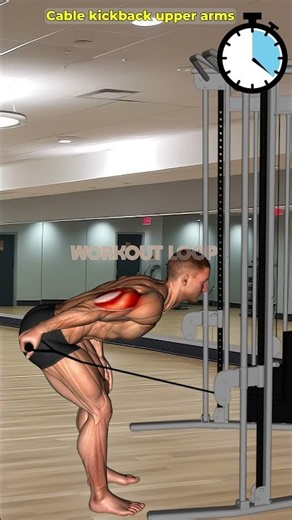 💪 Abs, Calf & Wrist Workout | Build Strength and Definition Fast