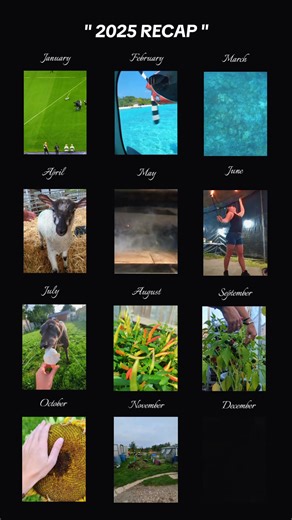 #2025recap I hope 2026 brings similar joys #allotmentgardening #chillipeppers #growing