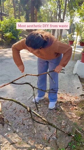 Vinshi Bansal on Instagram: "Made a beautiful LAMP from a broken branch and Beautiful bamboo lampshadesfrom @habereindia This is again a very easy DIY. Also help me choose 👇🏻 . .. #diy #diylamp #diyhomedecor #diyhomeprojects #homedecor"
