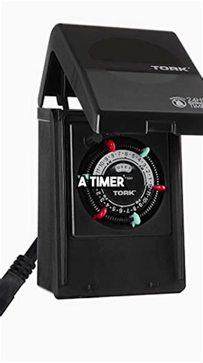 TIMER FOR POND?! 🕰️