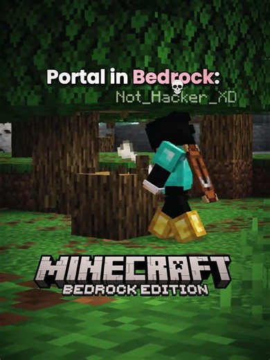 Minecraft Java vs Bedrock Portal Moment 💀