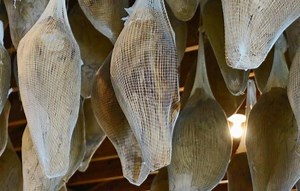 Curing ham the old fashioned way