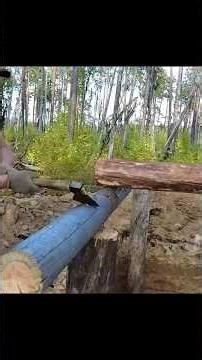 Build a complete underground log cabin, Do it yourself from start to finish - My Bushcraft Life