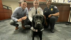 CBS Evening News:Support dog provides comfort to Capitol Police