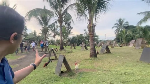 ATONG ANG CASE UPDATE: FARM NG KAPATID NI ATONG ANG SA MABITAC LAGUNA, PINASOK NG CALABARZON POLICE PERO BIGONG MAKITA ANG NEGOSYANTE Pinasok ng Calabarzon police ang farm ng kapatid ni Atong Ang sa Mabitac, Laguna sa pag-asang matatagpuan doon ang pinaghahanap na negosyante. Umuwi namang bigo ang mga awtoridad matapos halughugin ang lugar at kumpirmahing wala doon si Ang na nahaharap sa patong-patong na kaso. Pinuntahan din ng mga pulis ang isa pang farm sa Siniloan, Laguna na may lawak na mahi