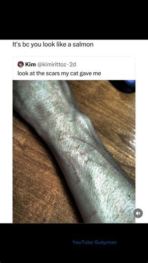 It’s because you look like salmon 😭 #fyp #dankmemes #viral #meme #slideshow