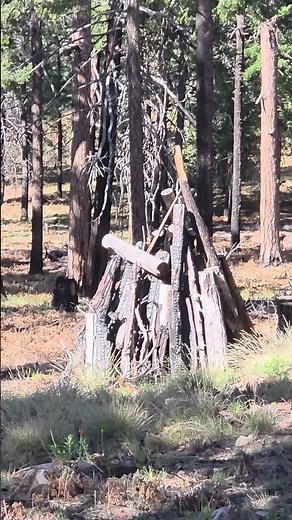 Why the U.S. Forest Service Builds “Teepee” Wood Stacks—and What It Means for Wildfire Prevention